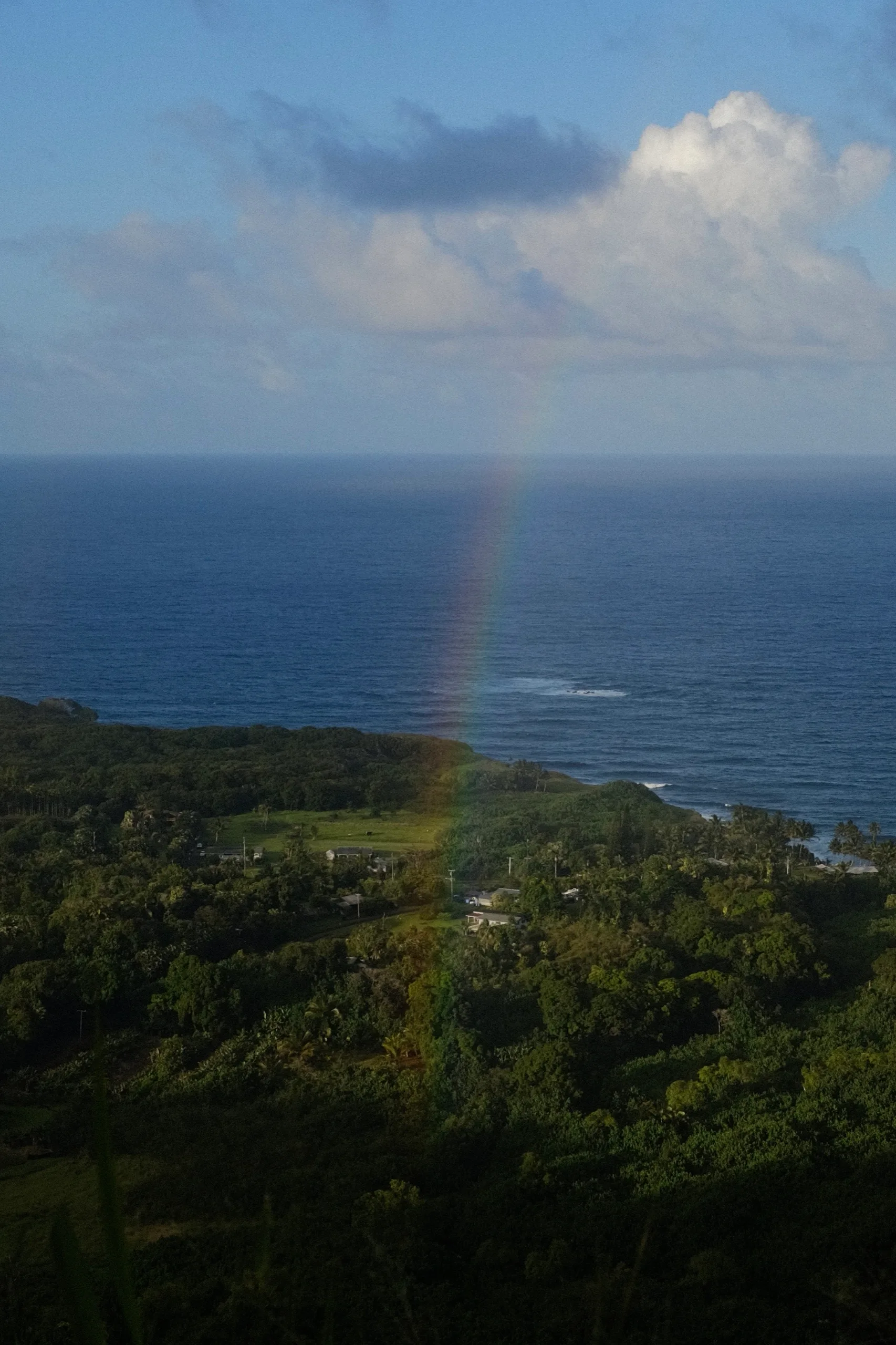 Rainbow arcing down into forested coastline above a deep blue ocean