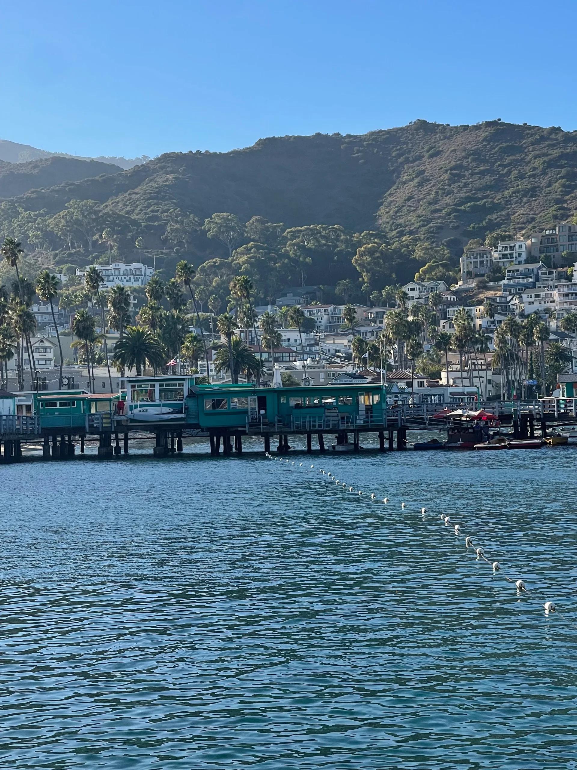 Harbour town below dry hills, palms and a green pier along the waterfront