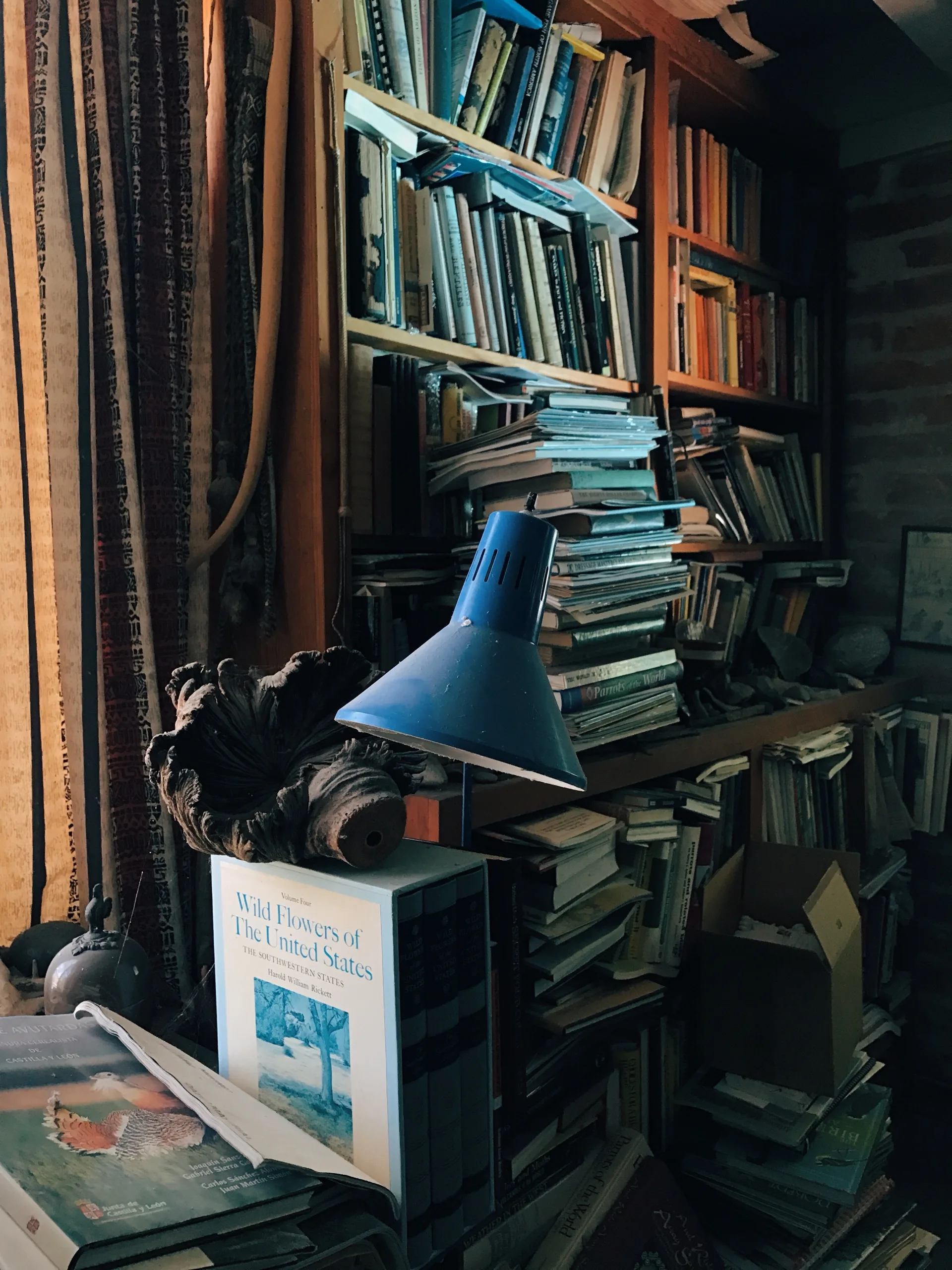 Cluttered second-hand bookshop interior lit by a single blue desk lamp