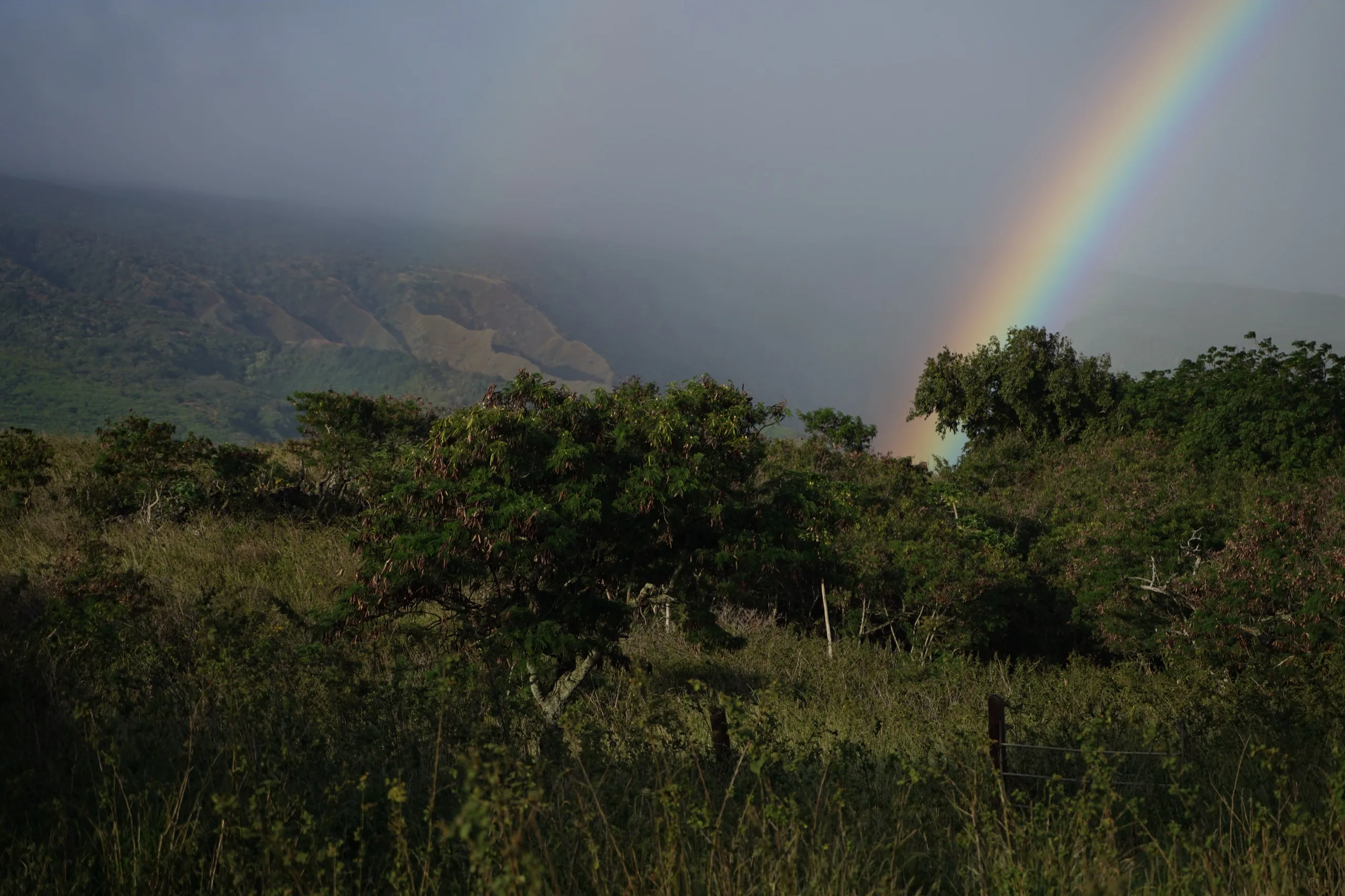 Double rainbow over green hills after rain, low cloud still on the ridge