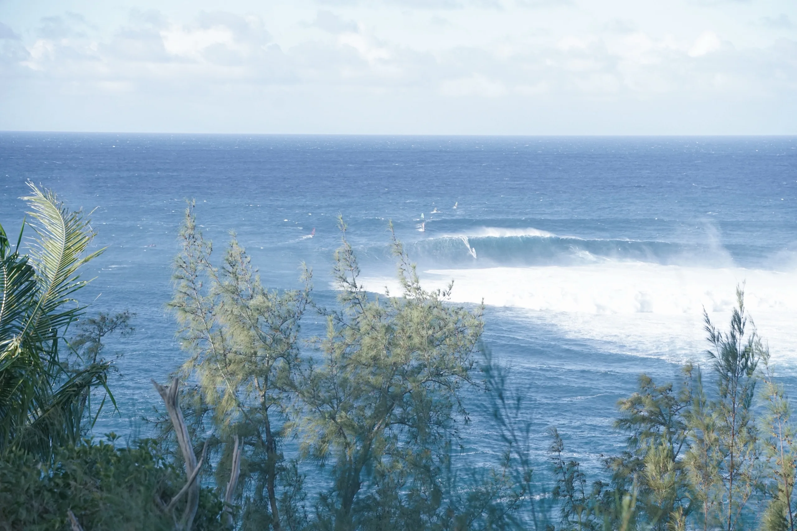 Long ocean swell peeling into a point break, seen through coastal scrub